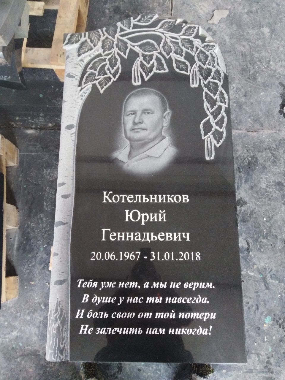 Памятник №149 из черного гранита с березой — фото 5